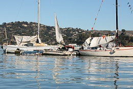 Click image for larger version

Name:	Richardson Bay 123115 25.jpg
Views:	106
Size:	426.4 KB
ID:	116525