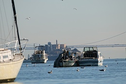 Click image for larger version

Name:	Richardson Bay 123115 26.jpg
Views:	145
Size:	295.3 KB
ID:	116526