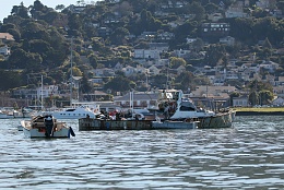 Click image for larger version

Name:	Richardson Bay 123115 28.jpg
Views:	118
Size:	441.6 KB
ID:	116528