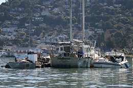 Click image for larger version

Name:	Richardson Bay 123115 35.jpg
Views:	359
Size:	438.6 KB
ID:	116535