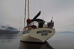 Click image for larger version

Name:	Cimarron Tracy Arm.jpg
Views:	794
Size:	166.2 KB
ID:	118119