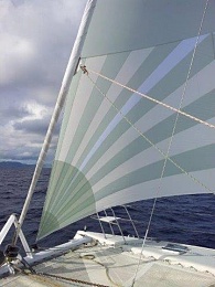 Click image for larger version

Name:	Sails_Drifter-Reacher.jpg
Views:	415
Size:	27.4 KB
ID:	118932