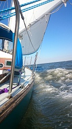 Click image for larger version

Name:	cd stbrd undersail.JPG
Views:	358
Size:	141.7 KB
ID:	119848