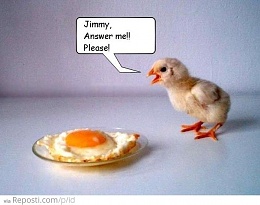 Click image for larger version

Name:	chick talking to egg.jpg
Views:	835
Size:	46.0 KB
ID:	119920