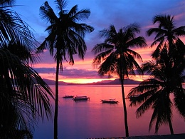 Click image for larger version

Name:	Sunrise with  Palms and Bangkas.JPG
Views:	558
Size:	63.1 KB
ID:	11995