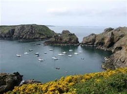 Click image for larger version

Name:	sark.jpg
Views:	230
Size:	10.3 KB
ID:	120204