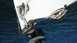 Click image for larger version

Name:	zzzz Anchor bridle photo.jpg
Views:	373
Size:	402.9 KB
ID:	120697