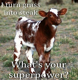 Click image for larger version

Name:	I turn grass into steak.jpg
Views:	384
Size:	59.6 KB
ID:	121428