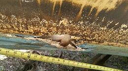 Click image for larger version

Name:	hole with ruler.jpg
Views:	790
Size:	192.5 KB
ID:	122527