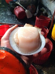 Click image for larger version

Name:	sea scallop.jpg
Views:	194
Size:	70.1 KB
ID:	122704