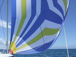 Click image for larger version

Name:	Dilligara Spinnaker.jpg
Views:	225
Size:	37.0 KB
ID:	124851