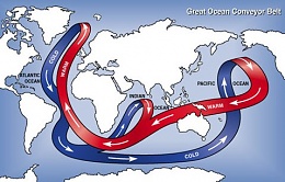 Click image for larger version

Name:	OceanThermalConveyorBelt.jpg
Views:	237
Size:	41.9 KB
ID:	12583