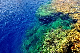 Click image for larger version

Name:	41-Sangenab Reef processed1.JPG
Views:	166
Size:	173.8 KB
ID:	126472