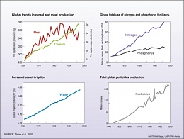 Click image for larger version

Name:	global-trends-in-cereal-and-meat-production-total-use-of-nitrogen-and-phosphorus-fertilizers-inc.jpg
Views:	135
Size:	78.5 KB
ID:	126720