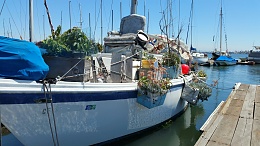 Click image for larger version

Name:	A real liveaboard.jpg
Views:	453
Size:	415.3 KB
ID:	130998