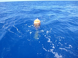 Click image for larger version

Name:	pacific gyre trash.jpg
Views:	561
Size:	432.6 KB
ID:	131497