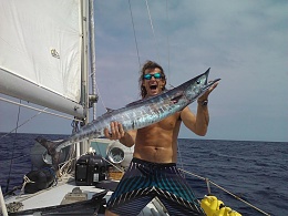 Click image for larger version

Name:	b wahoo.jpg
Views:	180
Size:	84.0 KB
ID:	131823
