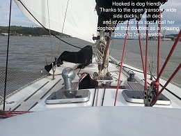Click image for larger version

Name:	stable cruising w dog.jpg
Views:	676
Size:	430.3 KB
ID:	132098