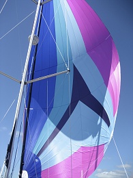 Click image for larger version

Name:	Spinnaker sail deployed.jpg
Views:	184
Size:	407.6 KB
ID:	132443