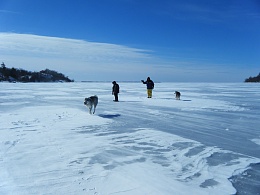 Click image for larger version

Name:	Ice Walk + 001.jpg
Views:	77
Size:	398.6 KB
ID:	134099