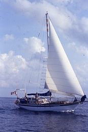 Click image for larger version

Name:	Nanamuk under head sails.jpg
Views:	438
Size:	215.5 KB
ID:	135401