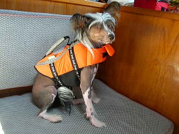 Click image for larger version

Name:	lifejacket.JPG
Views:	569
Size:	73.7 KB
ID:	13581