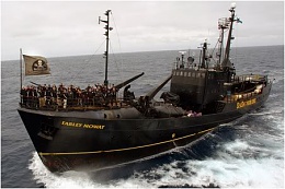 Click image for larger version

Name:	sea-shepherd-ship-farley-mowat.jpg
Views:	1693
Size:	31.9 KB
ID:	13797