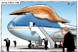 Click image for larger version

Name:	Hair Force One.jpg
Views:	319
Size:	98.0 KB
ID:	138717