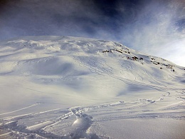 Click image for larger version

Name:	Tracks in the Chugach AK 02-08-2017sm.jpg
Views:	68
Size:	412.9 KB
ID:	141421