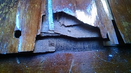 Click image for larger version

Name:	Close up of cabin sole.jpg
Views:	263
Size:	418.6 KB
ID:	141601