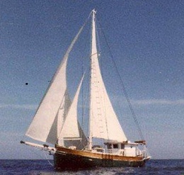 Click image for larger version

Name:	Swedish Cutter 55 43 Wood Sailing.jpg
Views:	177
Size:	24.2 KB
ID:	143171