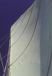 Click image for larger version

Name:	Main sail.jpg
Views:	583
Size:	402.5 KB
ID:	143384
