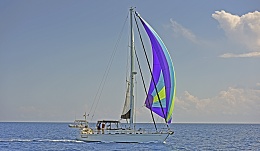 Click image for larger version

Name:	spinnaker in the tongue.jpg
Views:	116
Size:	353.5 KB
ID:	150284