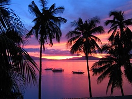 Click image for larger version

Name:	Sunrise with  Palms and Bangkas.JPG
Views:	1129
Size:	63.1 KB
ID:	15848