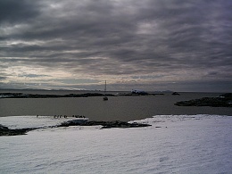 Click image for larger version

Name:	Snowpetrel at Cape Denison.jpg
Views:	78
Size:	418.9 KB
ID:	158810