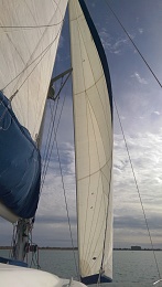 Click image for larger version

Name:	Cruising - Sails - Cruise Lam Jib.jpg
Views:	325
Size:	350.9 KB
ID:	163509