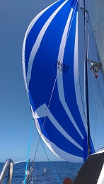 Click image for larger version

Name:	Cruising - Sails - Assym Spin.jpg
Views:	467
Size:	378.3 KB
ID:	163510