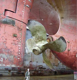 Click image for larger version

Name:	Broken tail shaft.jpg
Views:	1160
Size:	50.0 KB
ID:	165000