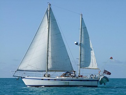 Click image for larger version

Name:	Curlew-under-sail.jpg
Views:	122
Size:	62.0 KB
ID:	166087