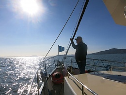 Click image for larger version

Name:	raccoon strait south.jpg
Views:	110
Size:	74.1 KB
ID:	167026