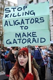 Click image for larger version

Name:	Gator.JPG
Views:	230
Size:	83.6 KB
ID:	171538