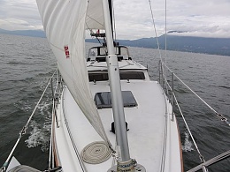 Click image for larger version

Name:	sail1.jpg
Views:	591
Size:	66.4 KB
ID:	17408