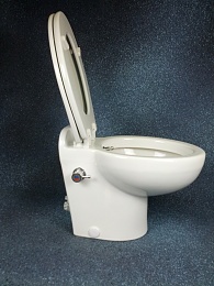 Click image for larger version

Name:	Raritan Elegance bidet.jpg
Views:	350
Size:	417.9 KB
ID:	180282