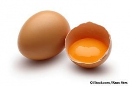 Click image for larger version

Name:	egg-yolk.jpg
Views:	73
Size:	5.2 KB
ID:	181656