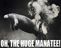 Click image for larger version

Name:	Oh, thehugemanatee.jpg
Views:	145
Size:	47.3 KB
ID:	18685