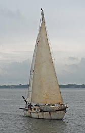 Click image for larger version

Name:	Boat A.jpg
Views:	194
Size:	96.9 KB
ID:	187450