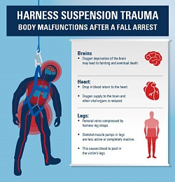 Click image for larger version

Name:	Suspension-Trauma-Infographic-edit-e1490730591286.jpg
Views:	316
Size:	53.3 KB
ID:	189227
