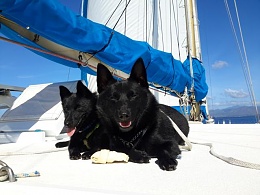 Click image for larger version

Name:	Zotke and Zonne first sailing - web.jpg
Views:	221
Size:	40.9 KB
ID:	189849