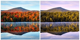 Click image for larger version

Name:	landscape-foliage-color-blindness.jpg
Views:	52
Size:	132.7 KB
ID:	189966