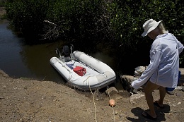 Click image for larger version

Name:	30-3120-Boarding the Dingy.jpg
Views:	272
Size:	440.1 KB
ID:	196014